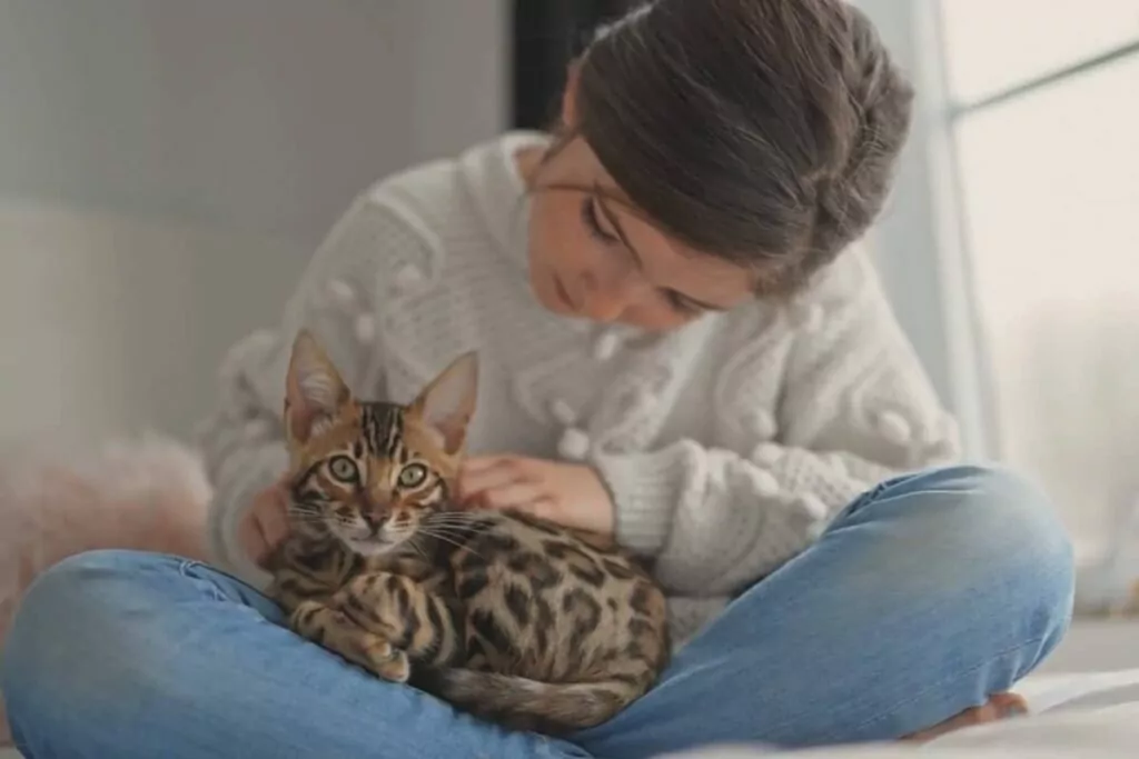 A girl petting a cat on her lap